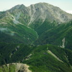 or003: 大井川の研究_03 緑茶との相性