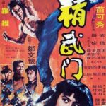 mf029: 香港映画「ドラゴン怒りの鉄拳」を興味深く見ました