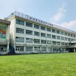 lawn01:連載「芝生の研究」01_校庭を芝生に